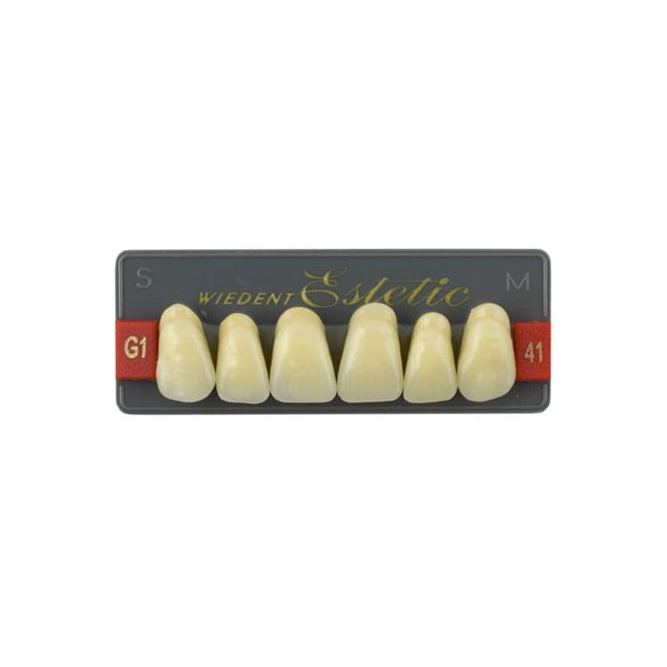 Acrylic teeth upper anteriors no 41, color G1, 6 pieces – oficiali Falcon Medical produkto nuotrauka