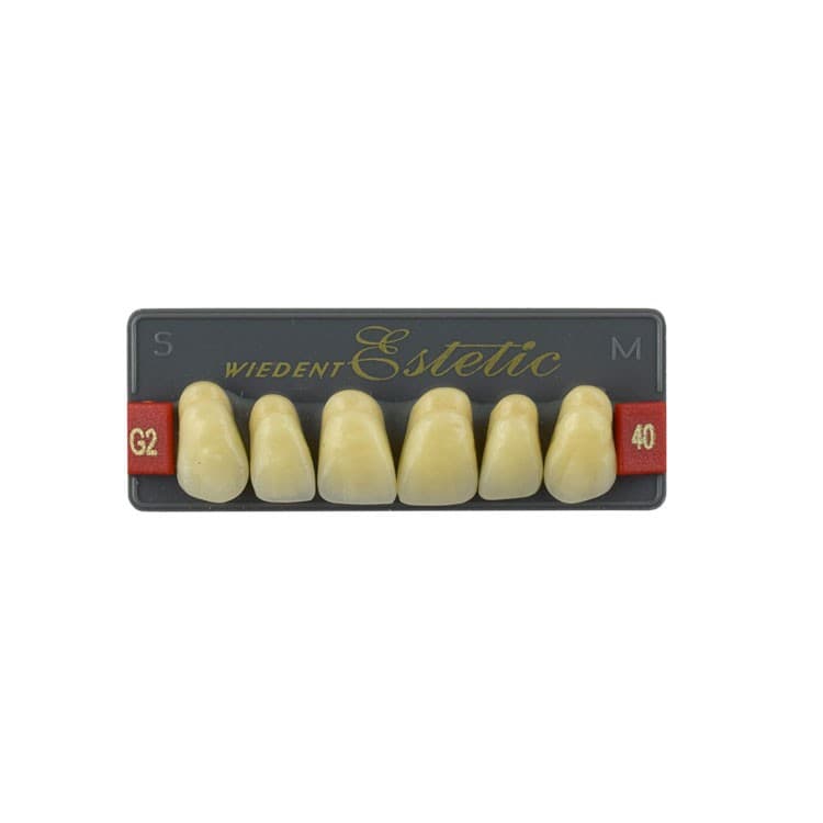 Acrylic teeth upper anteriors no 40, color G2, 6 pieces – oficiali Falcon Medical produkto nuotrauka