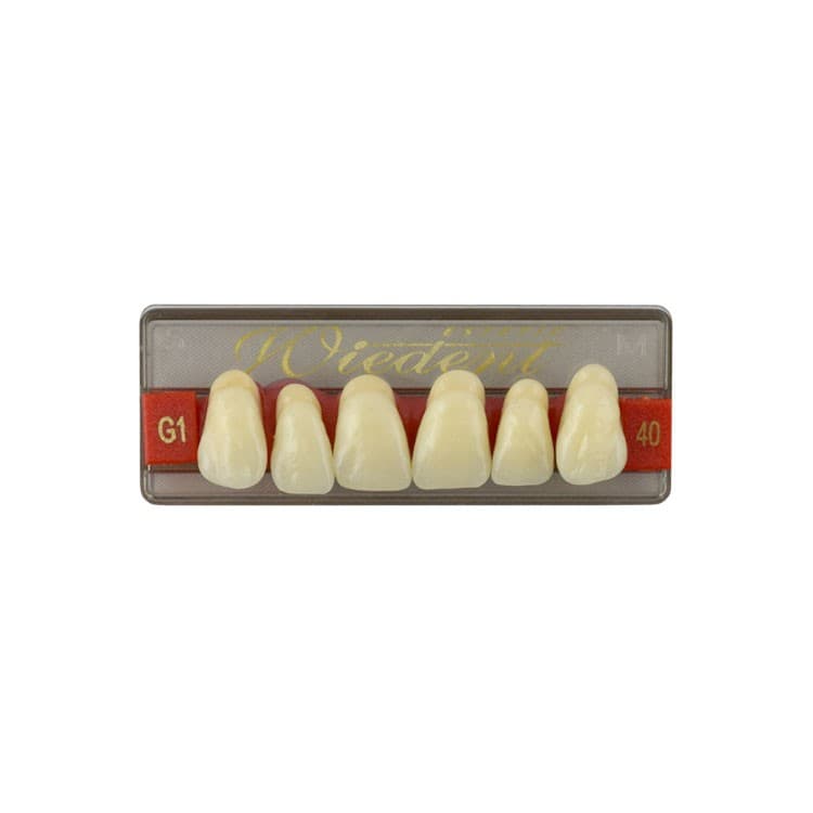 Acrylic teeth upper anteriors no 40, color G1, 6 pieces – oficiali Falcon Medical produkto nuotrauka
