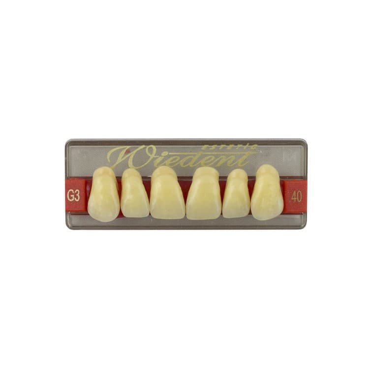 Acrylic teeth upper anteriors no 40, color G3, 6 pieces – oficiali Falcon Medical produkto nuotrauka