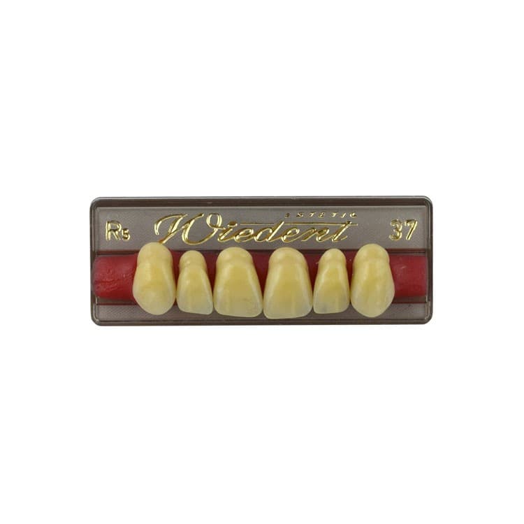 Acrylic teeth upper anteriors no 37, color R5, 6 pieces – oficiali Falcon Medical produkto nuotrauka