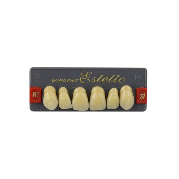 Acrylic teeth upper anteriors no 37, color R1, 6 pieces – oficiali Falcon Medical produkto nuotrauka