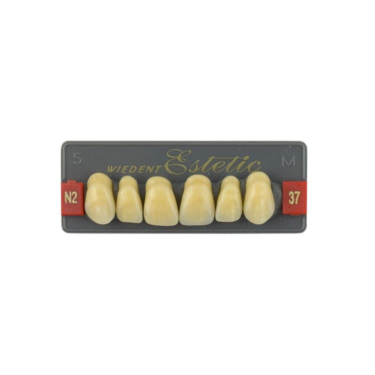 Acrylic teeth upper anteriors no 37, color N2, 6 pieces – oficiali Falcon Medical produkto nuotrauka