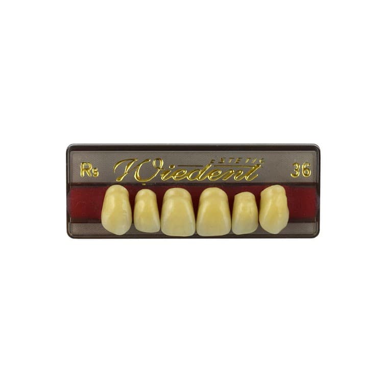 Acrylic teeth upper anteriors no 36, color R5, 6 pieces – oficiali Falcon Medical produkto nuotrauka