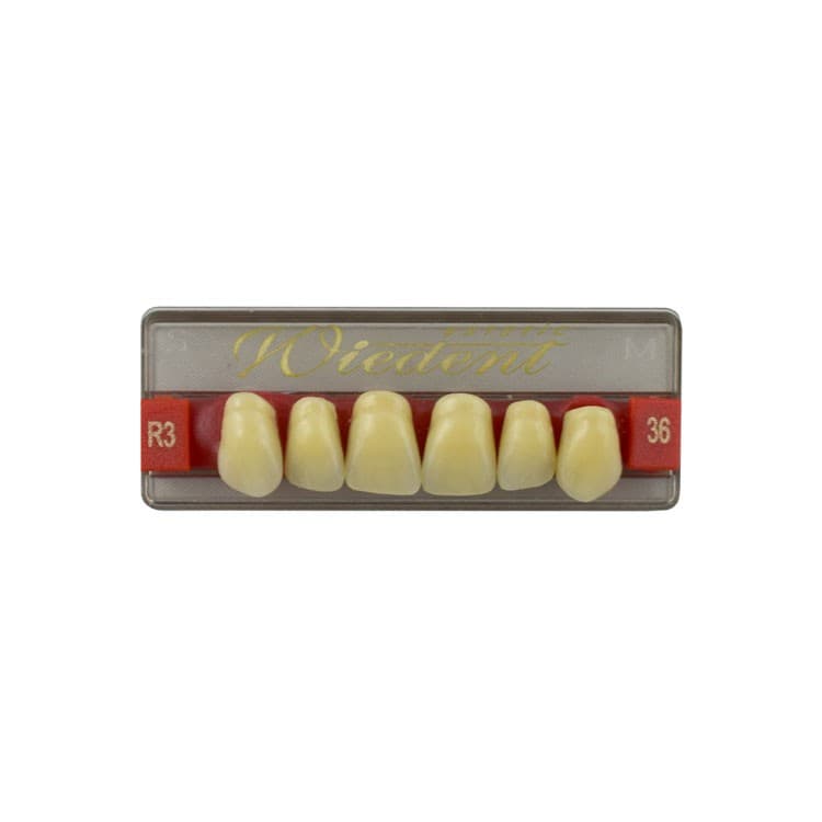 Acrylic teeth upper anteriors no 36, color R3, 6 pieces – oficiali Falcon Medical produkto nuotrauka
