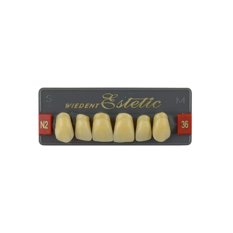 Acrylic teeth upper anteriors no 36, color N2, 6 pieces – oficiali Falcon Medical produkto nuotrauka