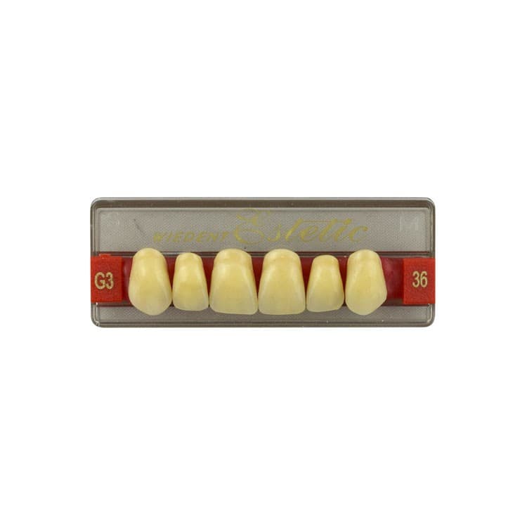 Acrylic teeth upper anteriors no 36, color G3, 6 pieces – oficiali Falcon Medical produkto nuotrauka