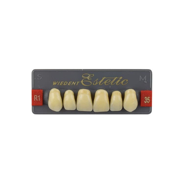 Acrylic teeth upper anteriors no 35, color R1, 6 pieces – oficiali Falcon Medical produkto nuotrauka
