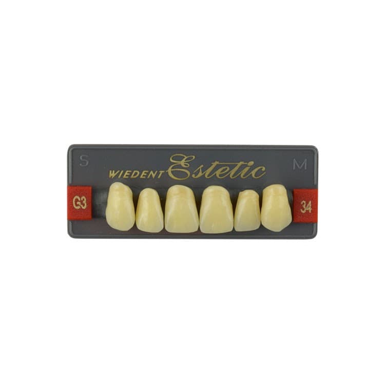 Acrylic teeth upper anteriors no 34, color G3, 6 pieces – oficiali Falcon Medical produkto nuotrauka