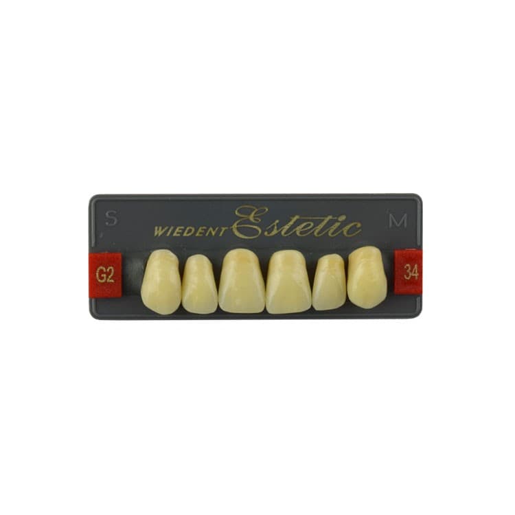 Acrylic teeth upper anteriors no 34, color G2, 6 pieces – oficiali Falcon Medical produkto nuotrauka