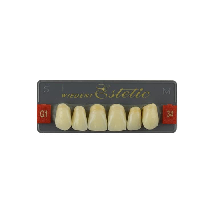 Acrylic teeth upper anteriors no 34, color G1, 6 pieces – oficiali Falcon Medical produkto nuotrauka