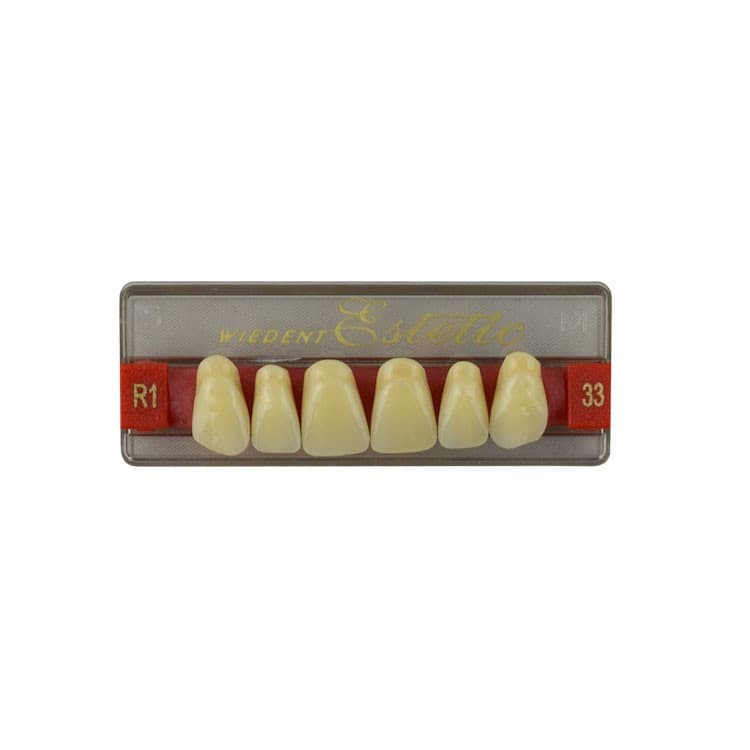 Acrylic teeth upper anteriors no 33, color R1, 6 pieces – oficiali Falcon Medical produkto nuotrauka