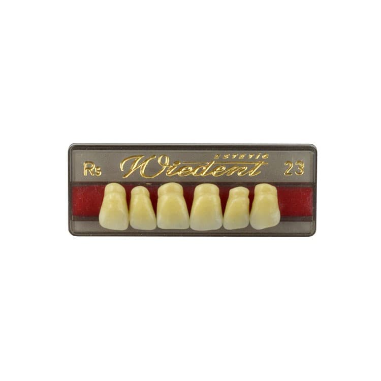 Acrylic teeth upper anteriors no 23, color R5, 6 pieces – oficiali Falcon Medical produkto nuotrauka