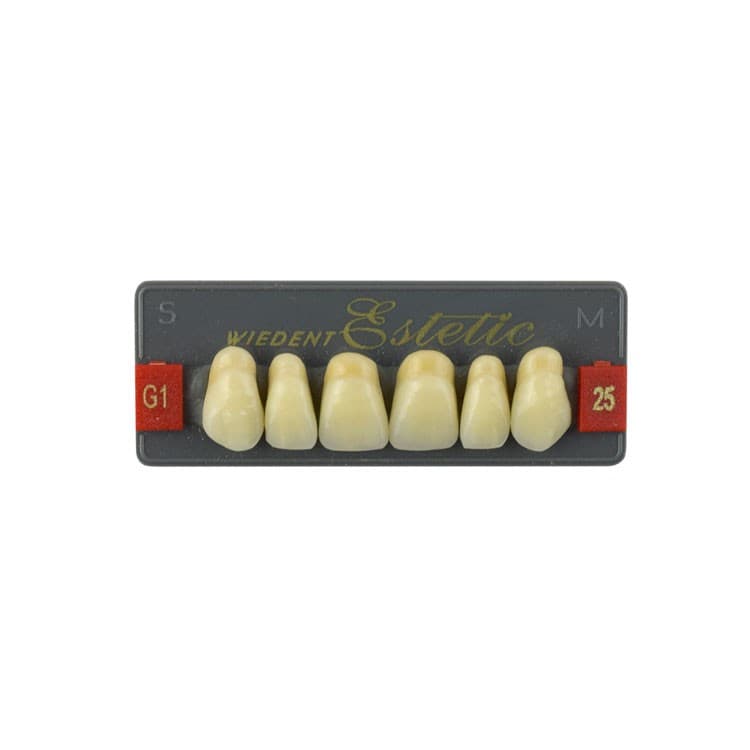 Acrylic teeth upper anteriors no 25, color G1, 6 pieces – oficiali Falcon Medical produkto nuotrauka