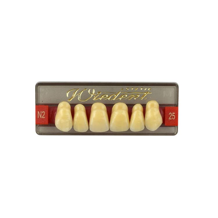 Acrylic teeth upper anteriors no 25, color N2, 6 pieces – oficiali Falcon Medical produkto nuotrauka