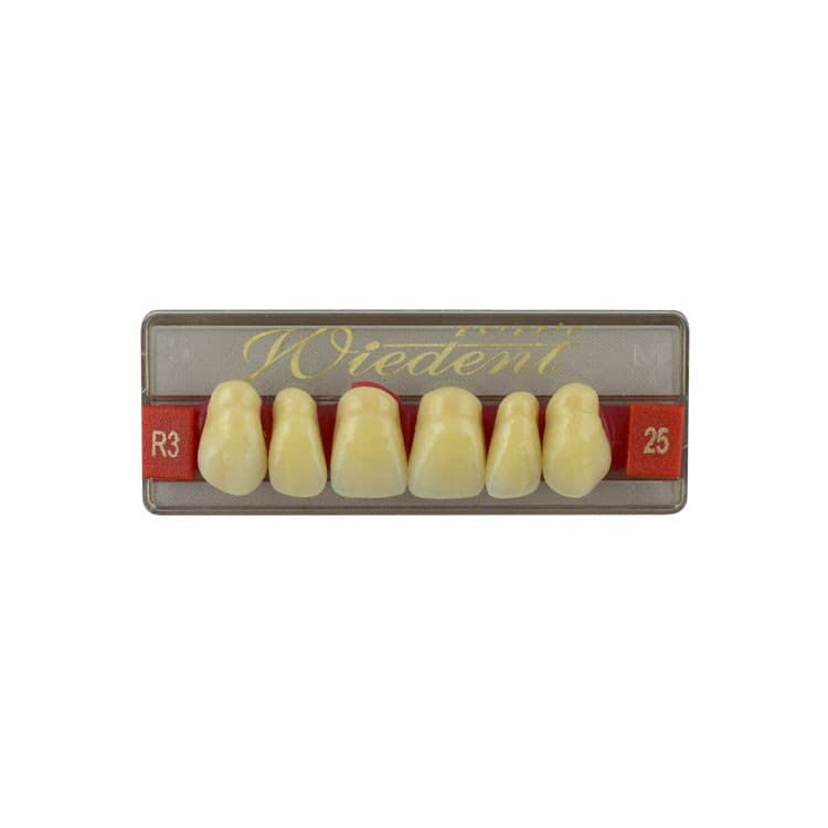 Acrylic teeth upper anteriors no 25, color R3, 6 pieces – oficiali Falcon Medical produkto nuotrauka