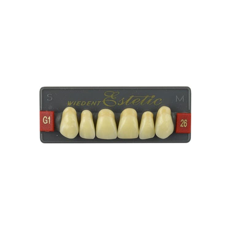 Acrylic teeth upper anteriors no 26, color G1, 6 pieces – oficiali Falcon Medical produkto nuotrauka