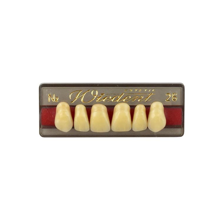 Acrylic teeth upper anteriors no 26, color N2, 6 pieces – oficiali Falcon Medical produkto nuotrauka
