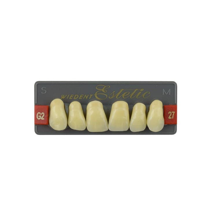Acrylic teeth upper anteriors no 27, color G2, 6 pieces – oficiali Falcon Medical produkto nuotrauka