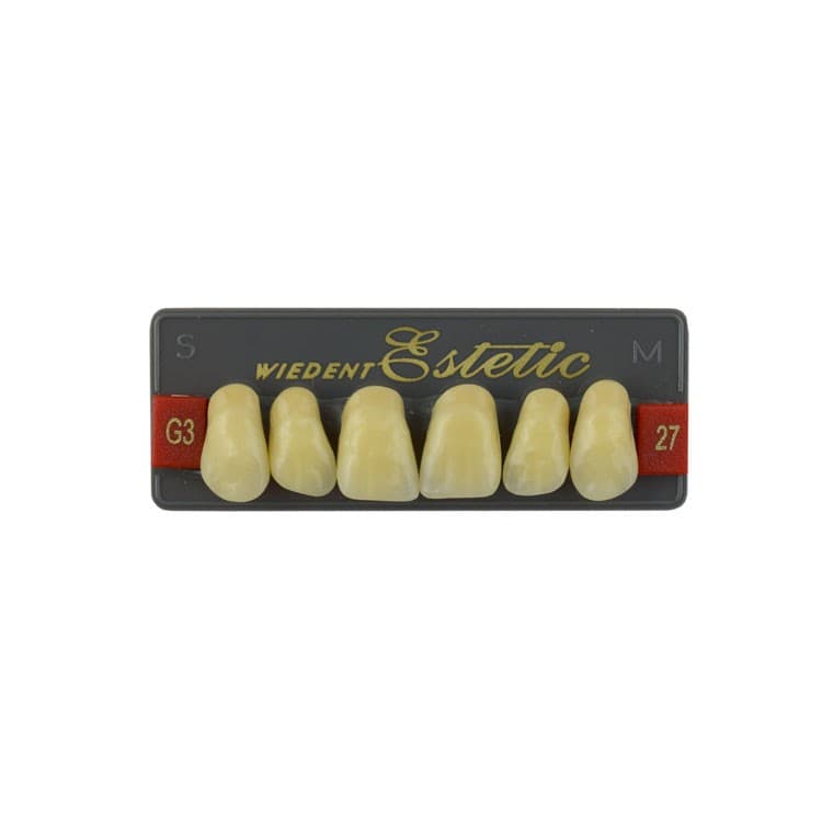 Acrylic teeth upper anteriors no 27, color G3, 6 pieces – oficiali Falcon Medical produkto nuotrauka