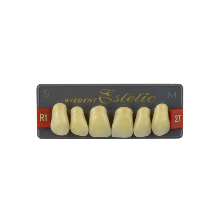 Acrylic teeth upper anteriors no 27, color R1, 6 pieces – oficiali Falcon Medical produkto nuotrauka