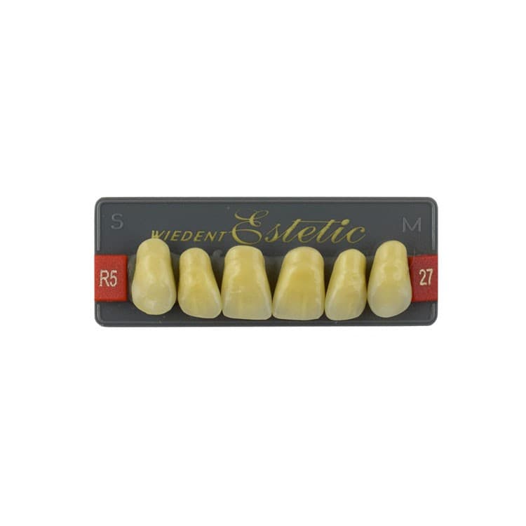 Acrylic teeth upper anteriors no 27, color R5, 6 pieces – oficiali Falcon Medical produkto nuotrauka