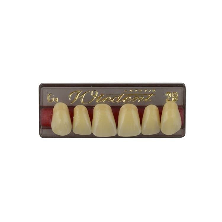Acrylic teeth upper anteriors no 28, color G3, 6 pieces – oficiali Falcon Medical produkto nuotrauka