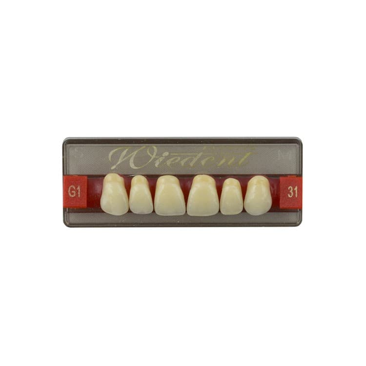 Acrylic teeth upper anteriors no 31, color G1, 6 pieces – oficiali Falcon Medical produkto nuotrauka
