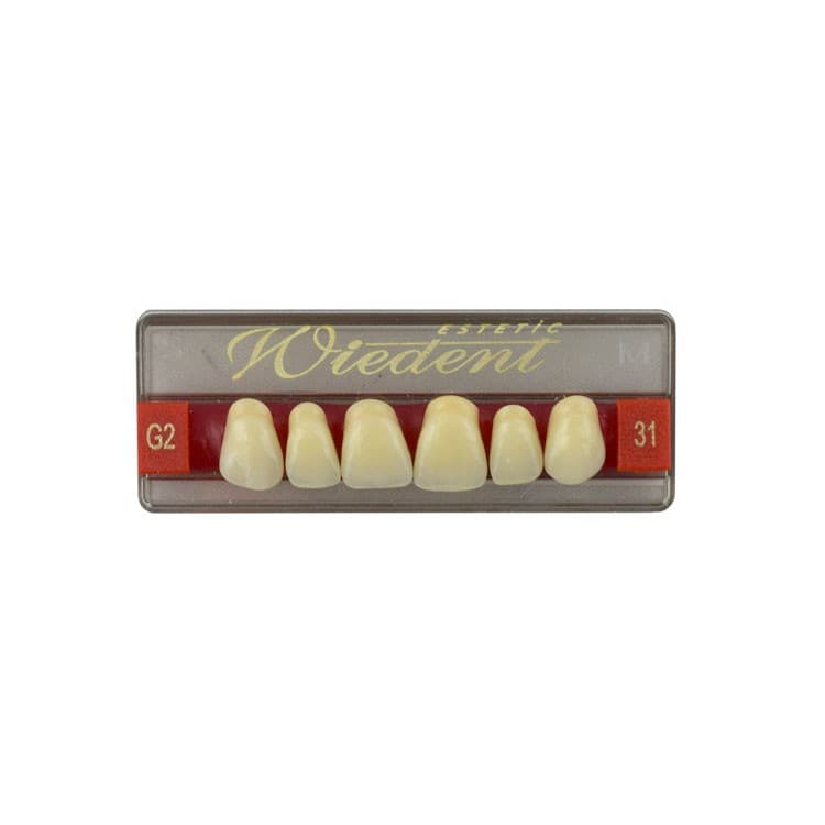 Acrylic teeth upper anteriors no 31, color G2, 6 pieces – oficiali Falcon Medical produkto nuotrauka