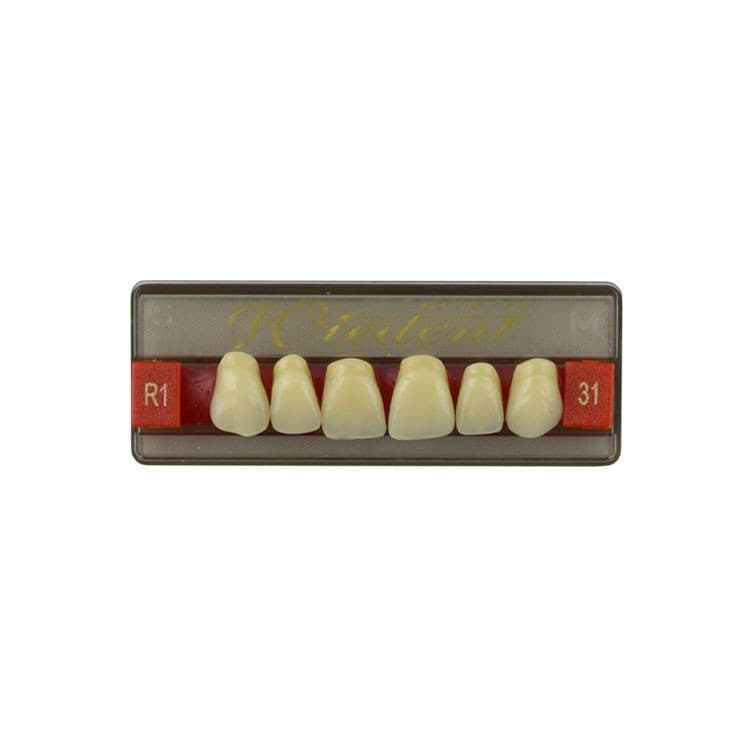 Acrylic teeth upper anteriors no 31, color R1, 6 pieces – oficiali Falcon Medical produkto nuotrauka
