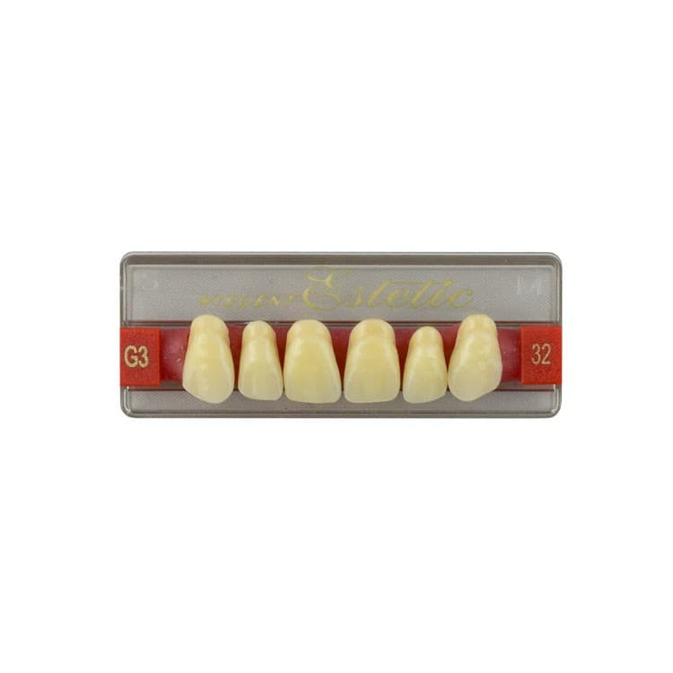Acrylic teeth upper anteriors no 32, color G3, 6 pieces – oficiali Falcon Medical produkto nuotrauka