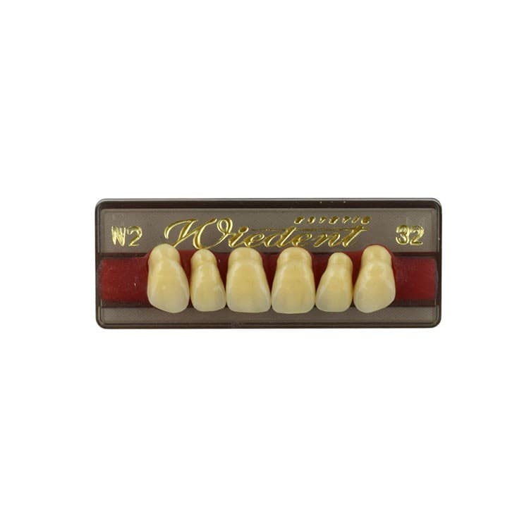 Acrylic teeth upper anteriors no 32, color N2, 6 pieces – oficiali Falcon Medical produkto nuotrauka