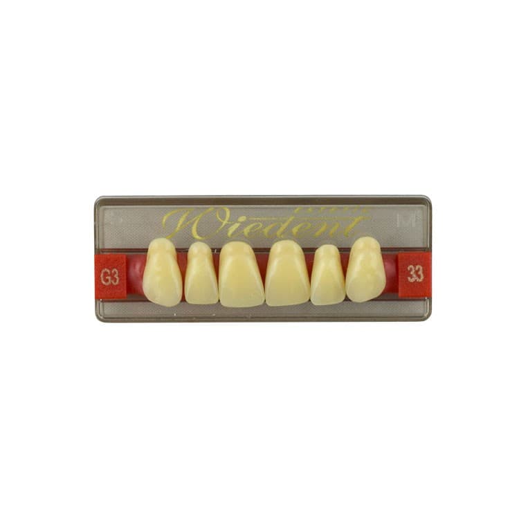 Acrylic teeth upper anteriors no 33, color G3, 6 pieces – oficiali Falcon Medical produkto nuotrauka
