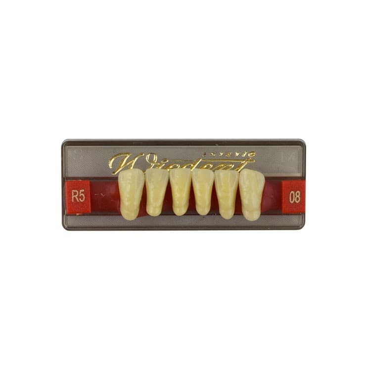 Acrylic teeth lower anteriors no 08, color R5, 6 pieces – oficiali Falcon Medical produkto nuotrauka