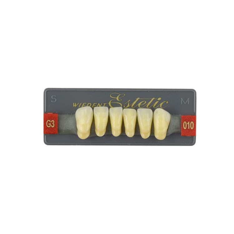 Acrylic teeth lower anteriors no 010, color G3, 6 pieces – oficiali Falcon Medical produkto nuotrauka