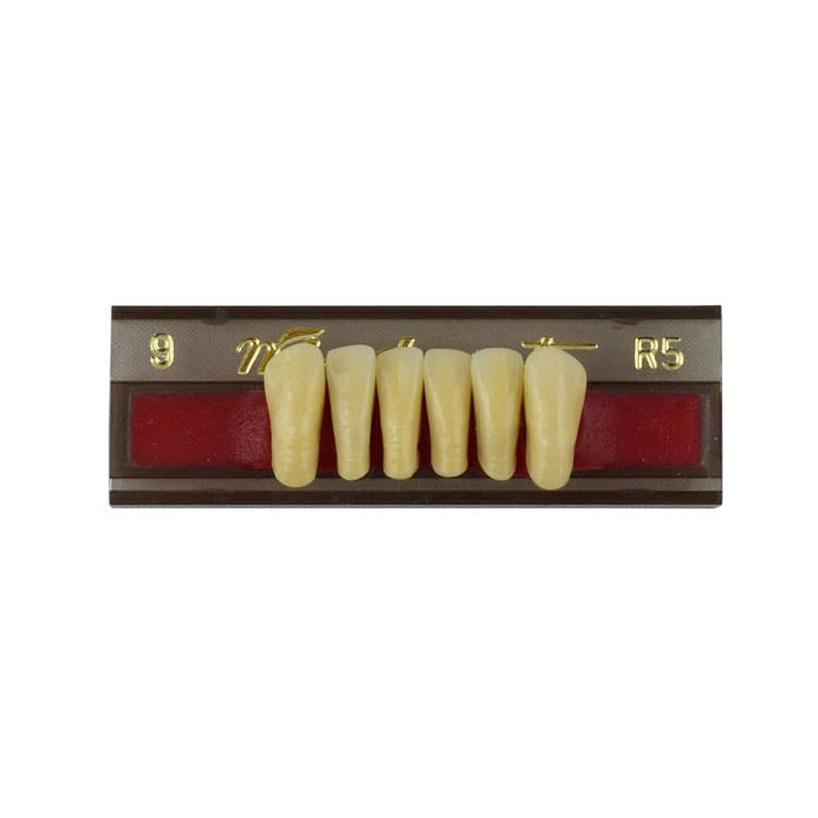 Acrylic teeth lower anteriors no 09, color R5, 6 pieces – oficiali Falcon Medical produkto nuotrauka