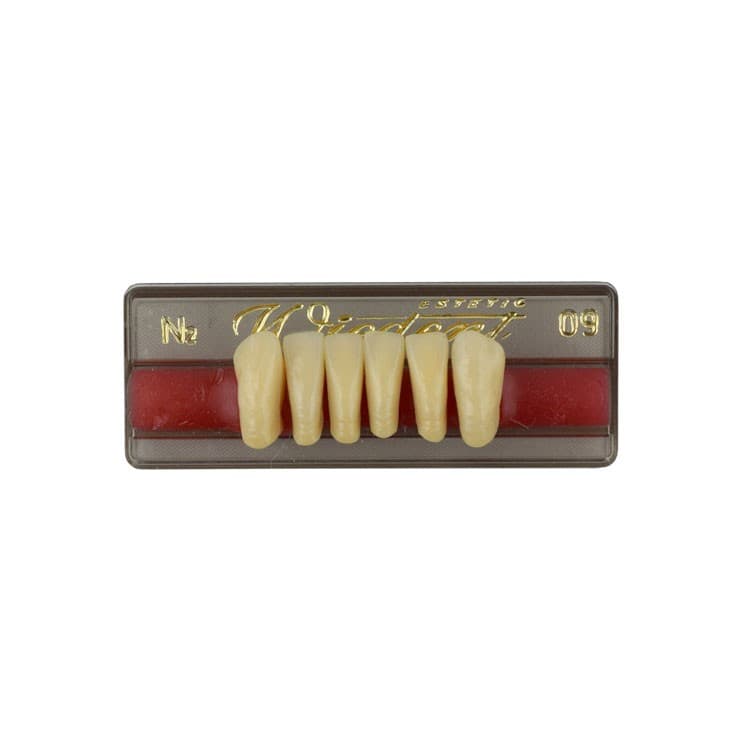 Acrylic teeth lower anteriors no 09, color N2, 6 pieces – oficiali Falcon Medical produkto nuotrauka