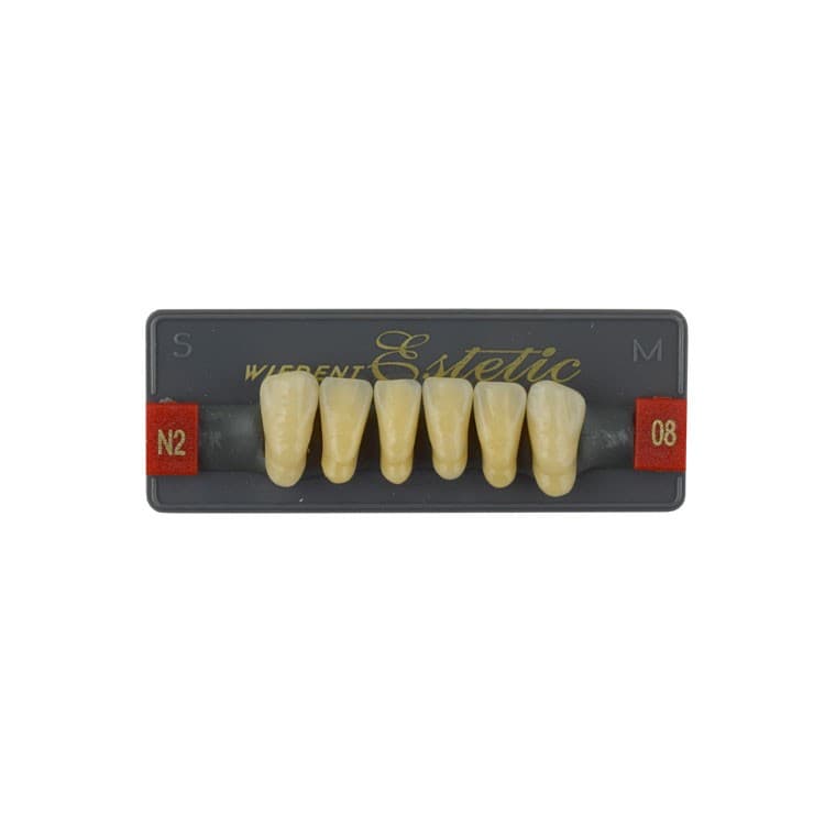 Acrylic teeth lower anteriors no 08, color N2, 6 pieces – oficiali Falcon Medical produkto nuotrauka