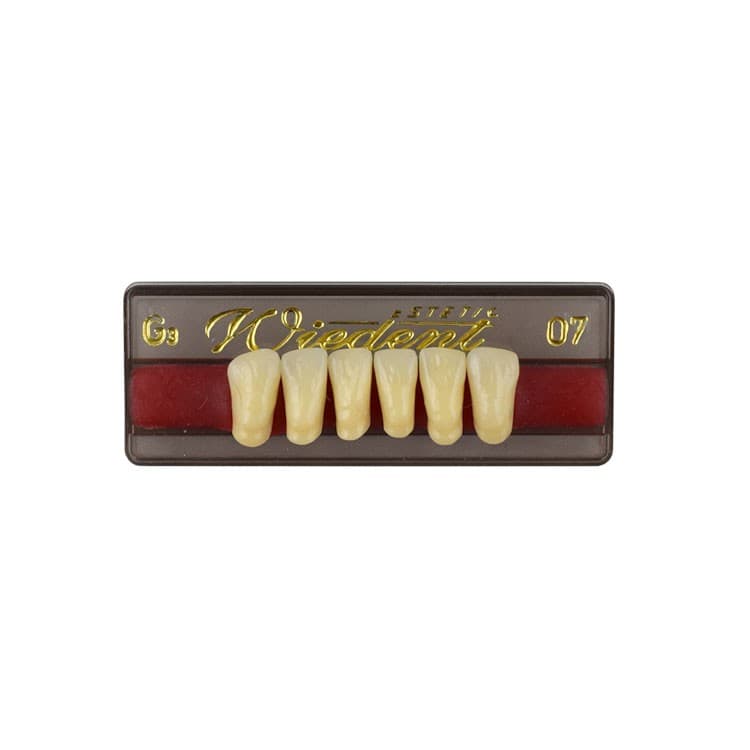 Acrylic teeth lower anteriors no 07, color G3, 6 pieces – oficiali Falcon Medical produkto nuotrauka