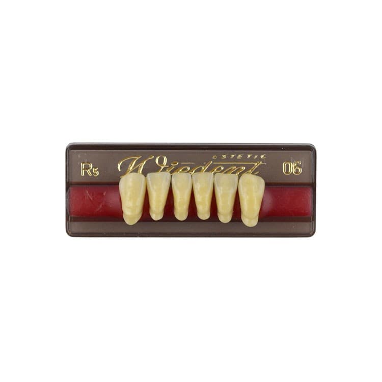 Acrylic teeth lower anteriors no 06, color R5, 6 pieces – oficiali Falcon Medical produkto nuotrauka
