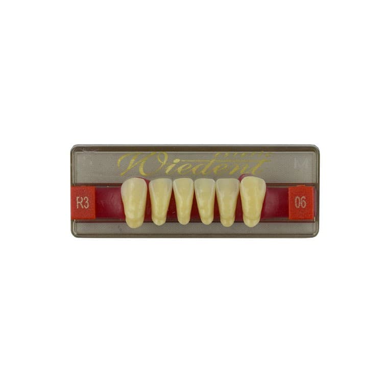 Acrylic teeth lower anteriors no 06, color R3, 6 pieces – oficiali Falcon Medical produkto nuotrauka