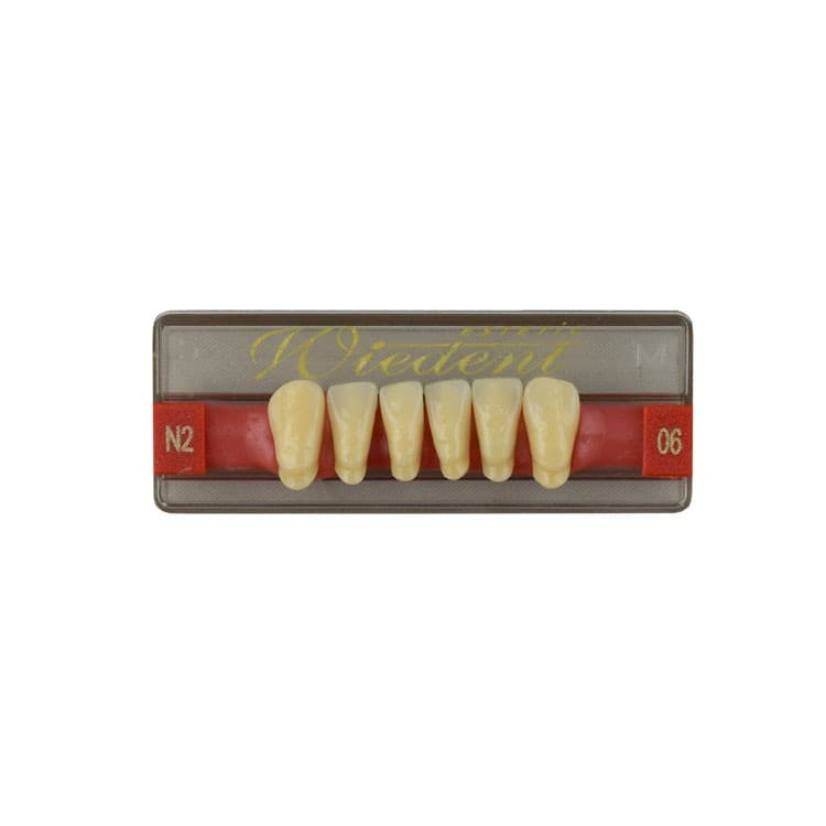 Acrylic teeth lower anteriors no 06, color N2, 6 pieces – oficiali Falcon Medical produkto nuotrauka