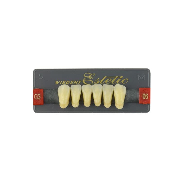 Acrylic teeth lower anteriors no 06, color G3, 6 pieces – oficiali Falcon Medical produkto nuotrauka