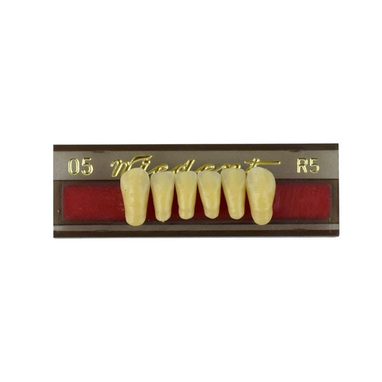 Acrylic teeth lower anteriors no 05, color R5, 6 pieces – oficiali Falcon Medical produkto nuotrauka