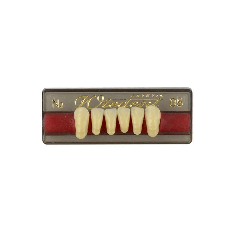 Acrylic teeth lower anteriors no 05, color N2, 6 pieces – oficiali Falcon Medical produkto nuotrauka