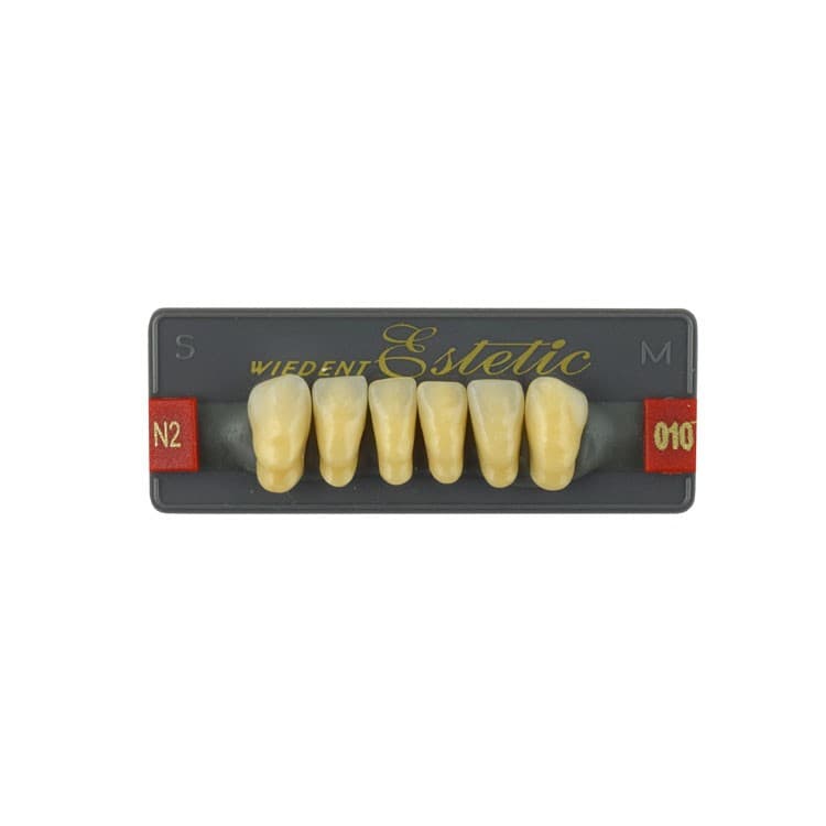 Acrylic teeth lower anteriors no 010, color N2, 6 pieces – oficiali Falcon Medical produkto nuotrauka