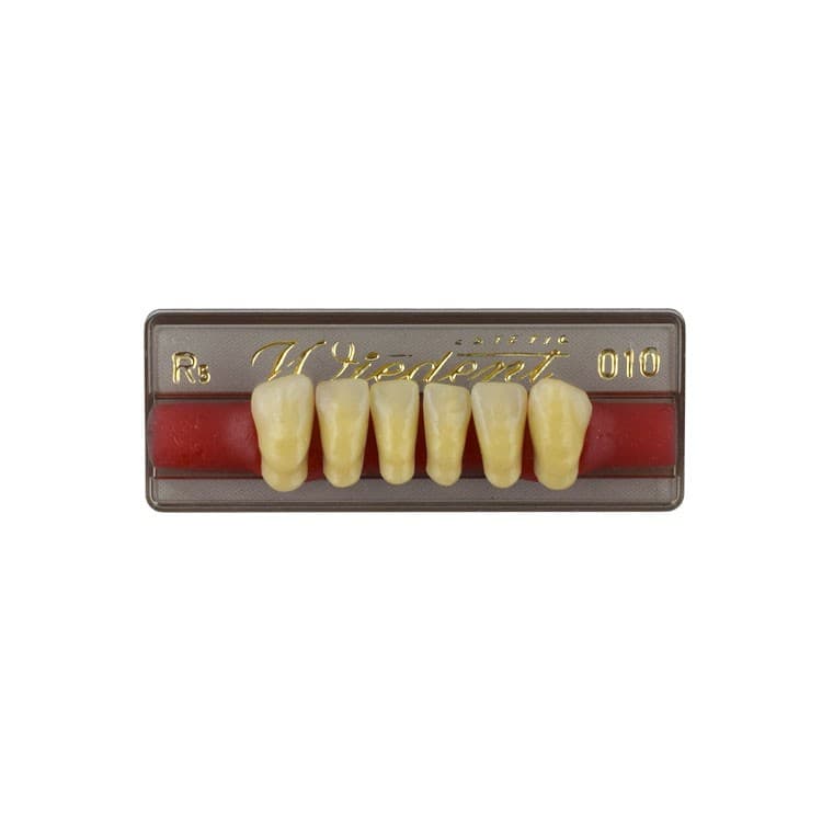 Acrylic teeth lower anteriors no 010, color R5, 6 pieces – oficiali Falcon Medical produkto nuotrauka
