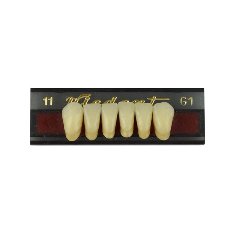 Acrylic teeth lower anteriors no 011, color G1, 6 pieces – oficiali Falcon Medical produkto nuotrauka