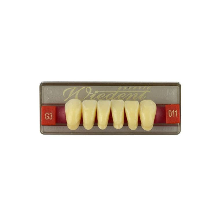 Acrylic teeth lower anteriors no 011, color G3, 6 pieces – oficiali Falcon Medical produkto nuotrauka