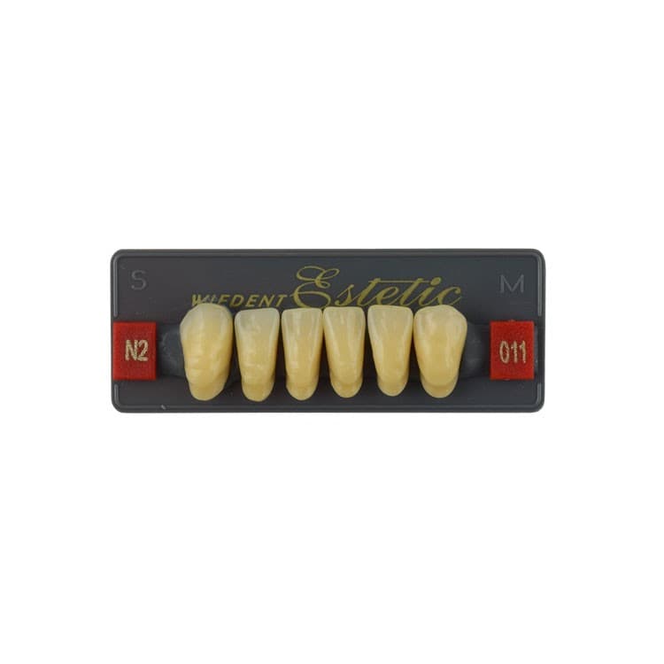 Acrylic teeth lower anteriors no 011, color N2, 6 pieces – oficiali Falcon Medical produkto nuotrauka